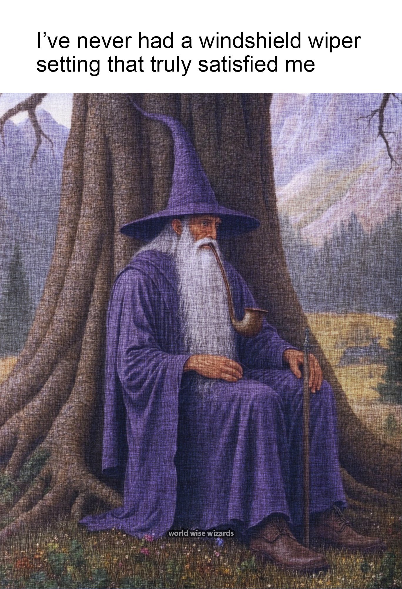 I’ve never had a windshield wiper setting that truly satisfied me 2.jpg