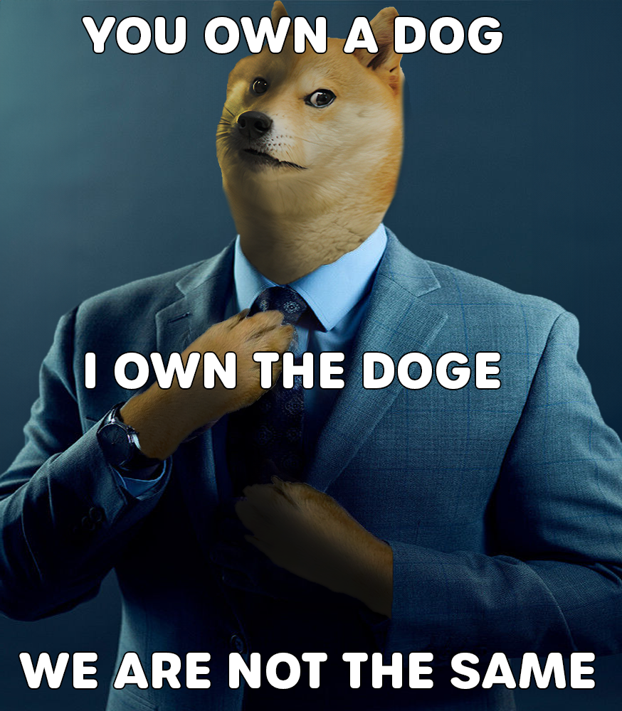 doge-gus-iownthedoge.png