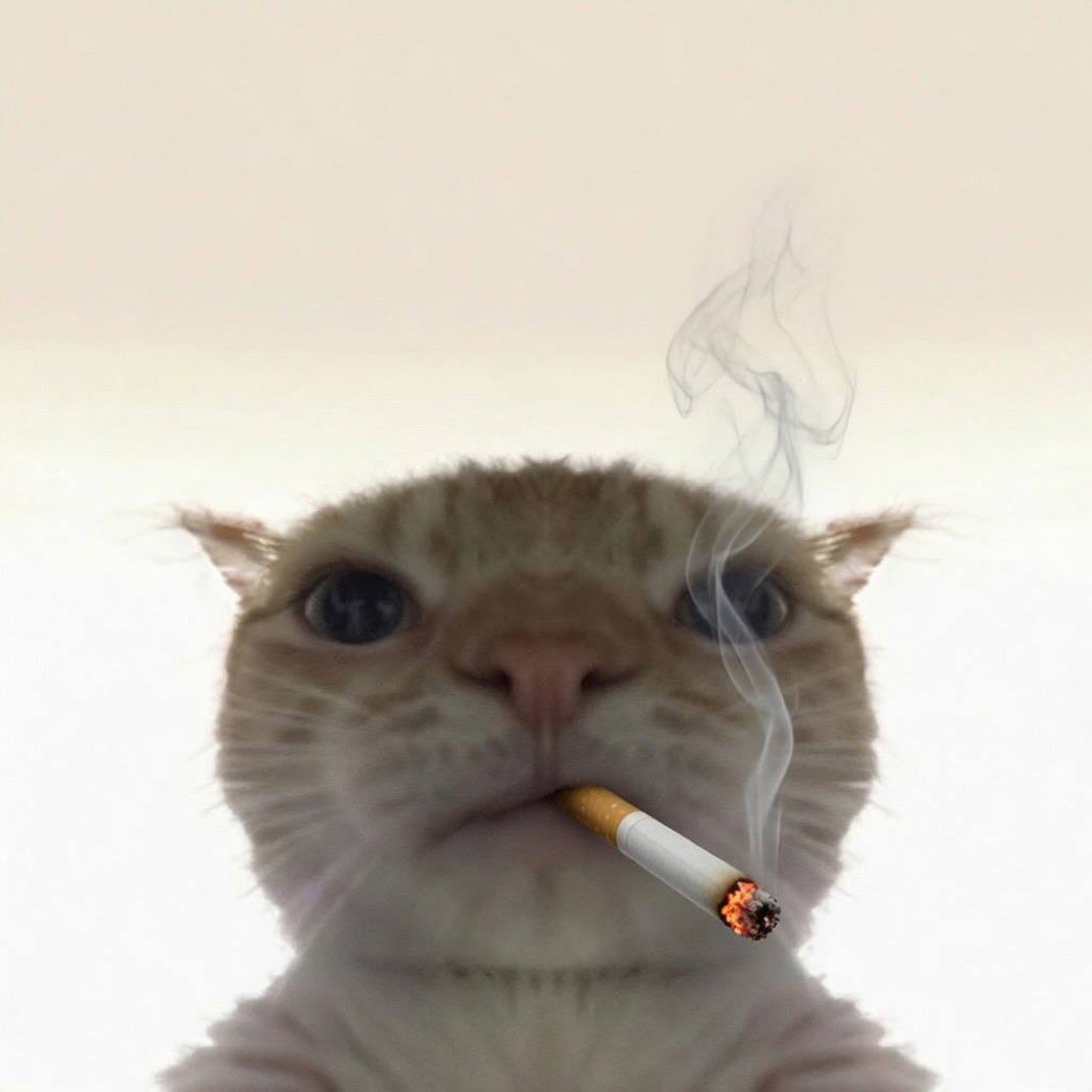 HOXUYkzbgAAlkb4.jpeg
