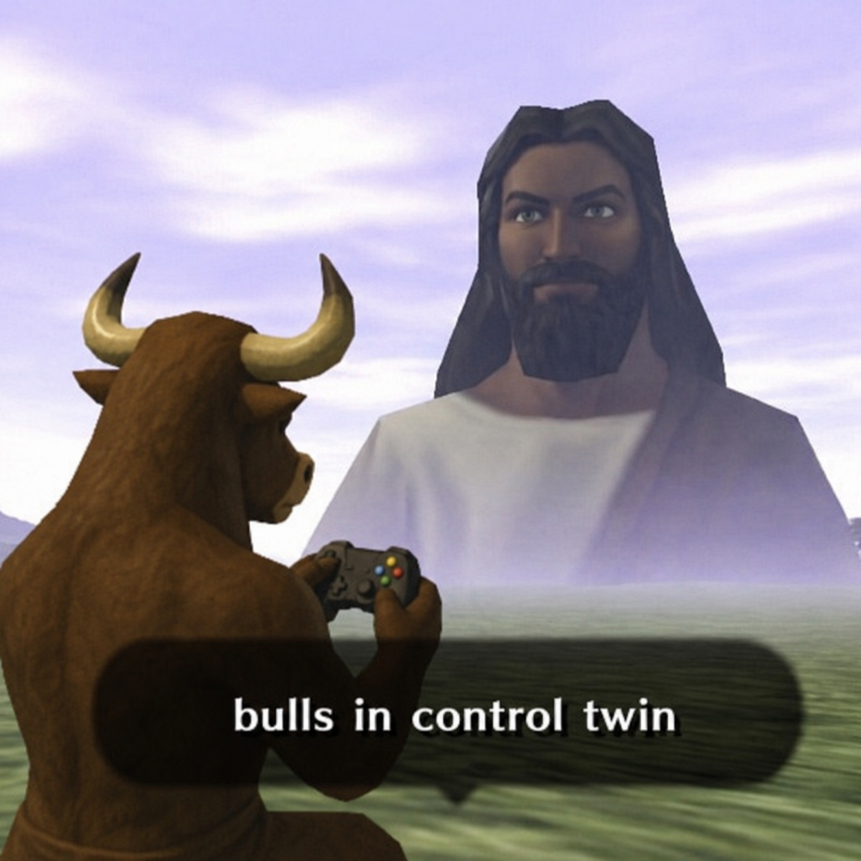 bulls in control twin