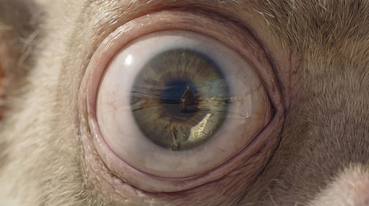 c6b88203-e3ea-4f24-b7f2-866a8fe037bf.jfif