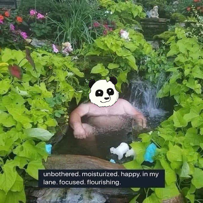 photo_2024-10-31 00.00.03.jpeg