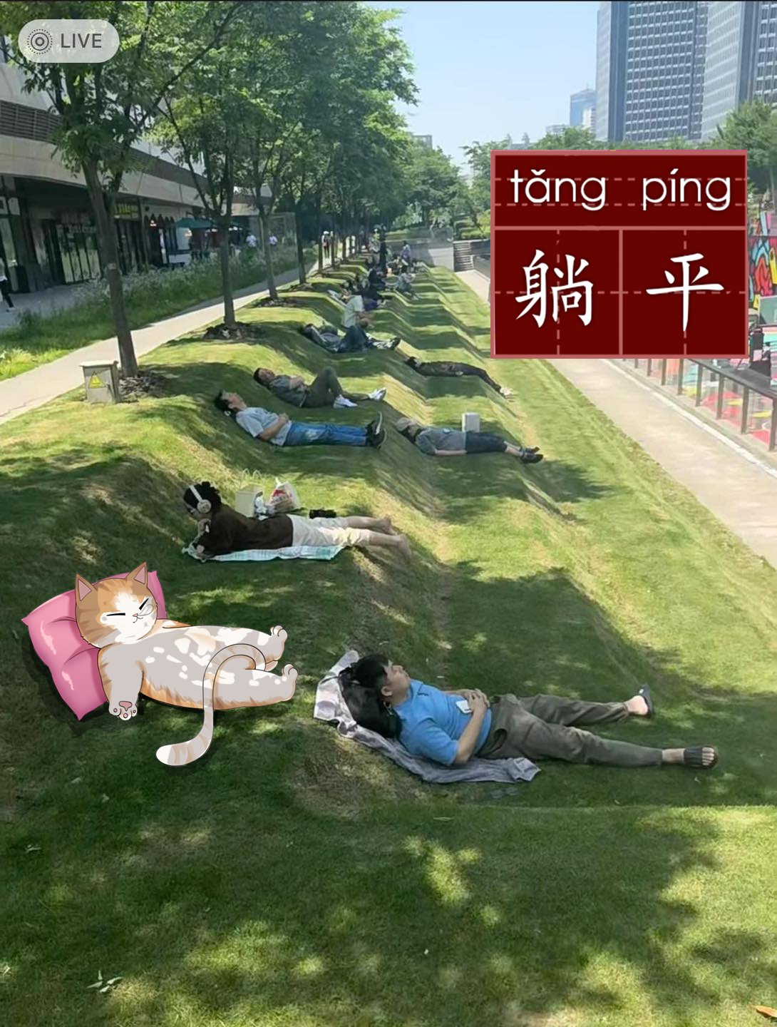 tang-ping-sleep.jpeg