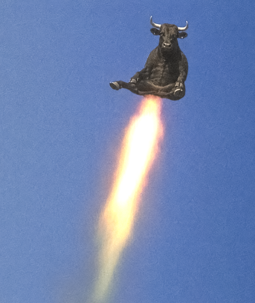 Rocket Bull