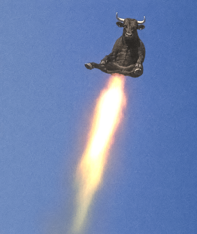 Rocket Bull