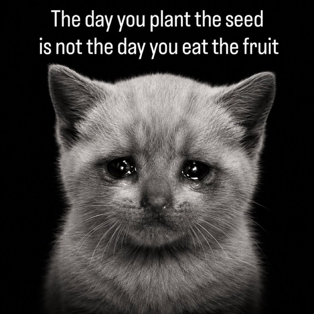 Plant Seed Eat Fruit