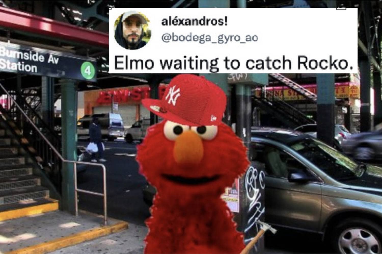 Elmo-Rocco-Memes.jpg