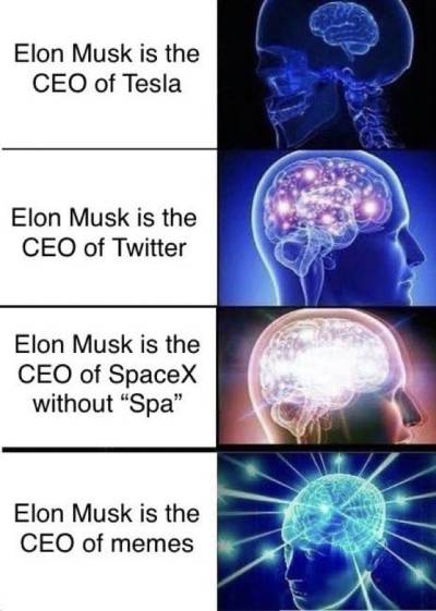 Elon Musk Google Memes (65).jpg