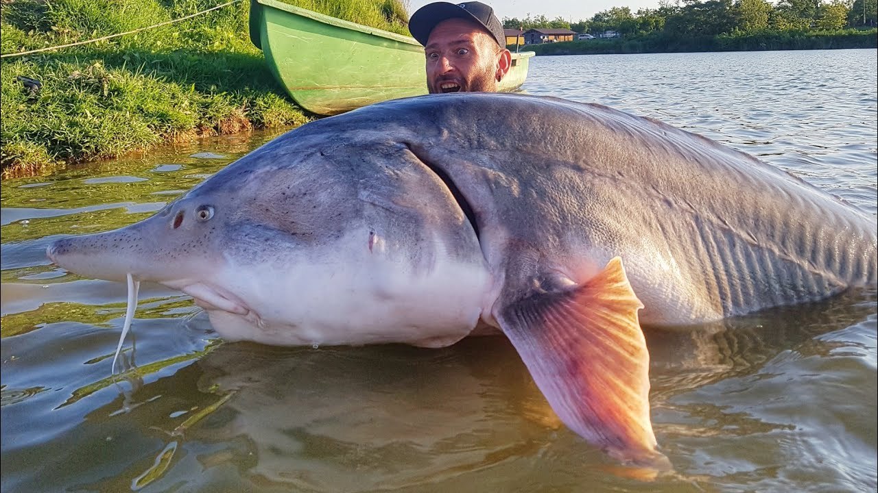 look at that snoot.jpg