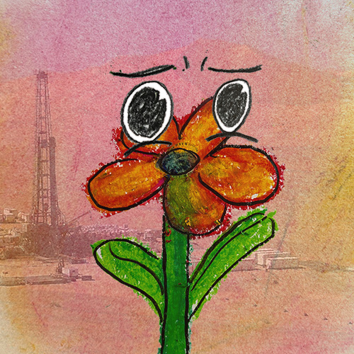 Blume