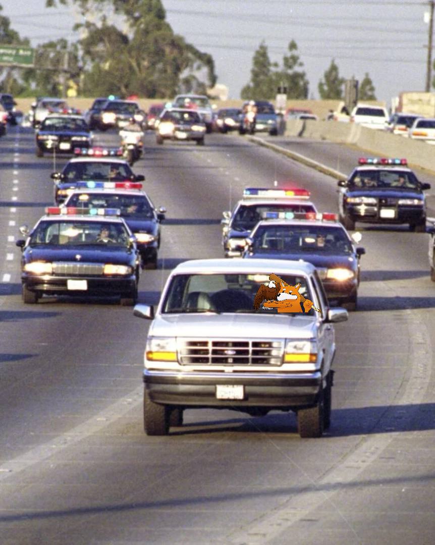 photo_2025-09-07 11.00.32.jpeg