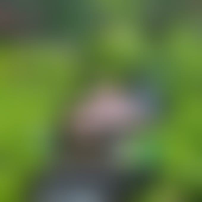 unbothered moisturized happy in my lane.jpg