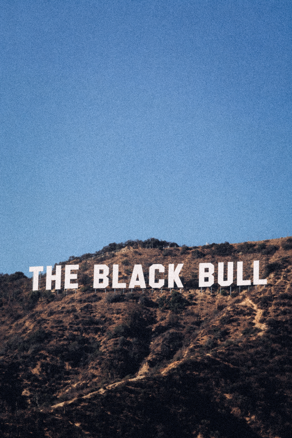 Hollywood Black Bull Sign