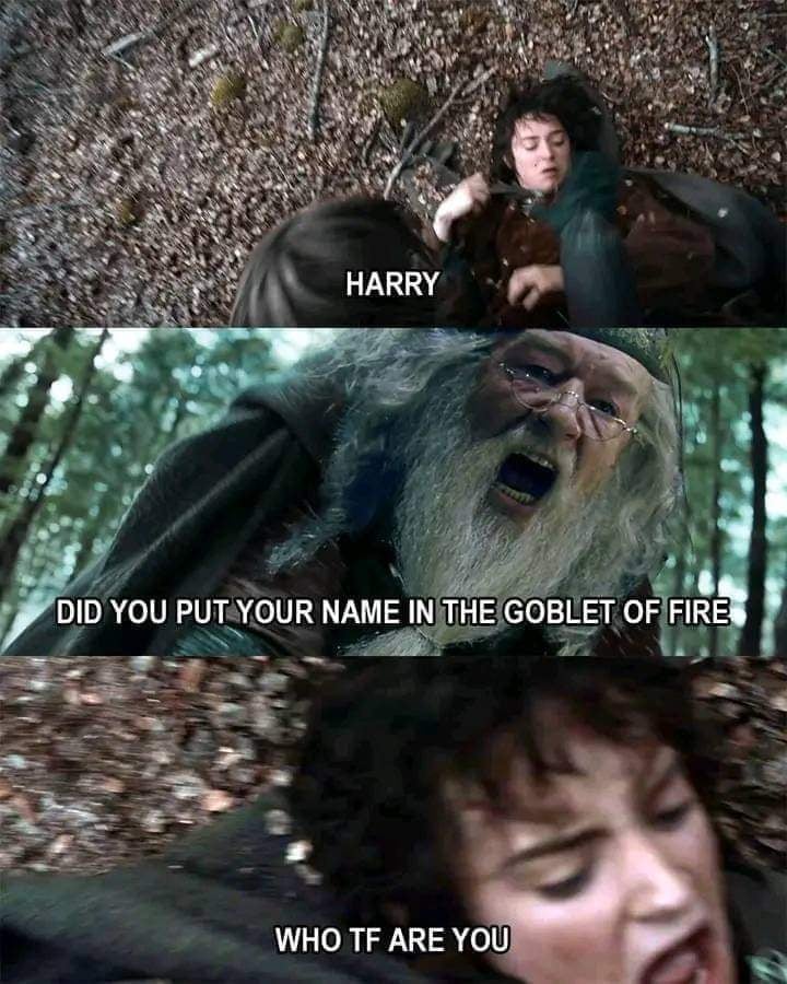 HairyPotter