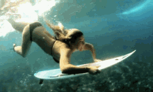 women surf 4.gif