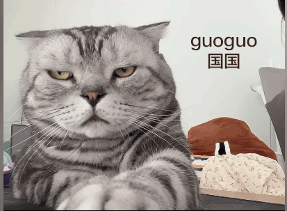 guoguo2.gif