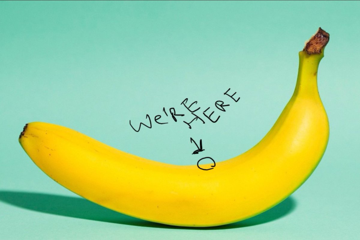 RT @RaoulGMI: Bananas come to those who wait...

Patience. https://t.co/Y458OkqgDk