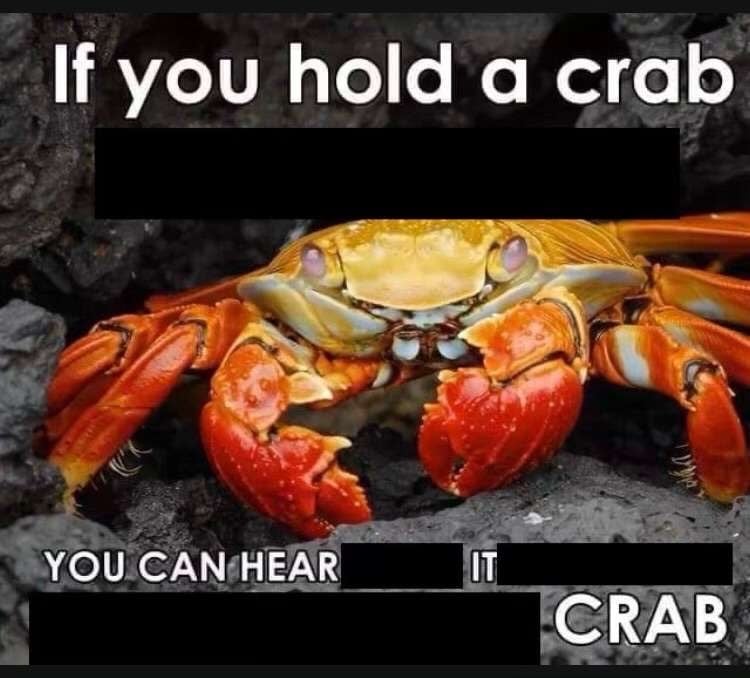 crab epiphany.jpg