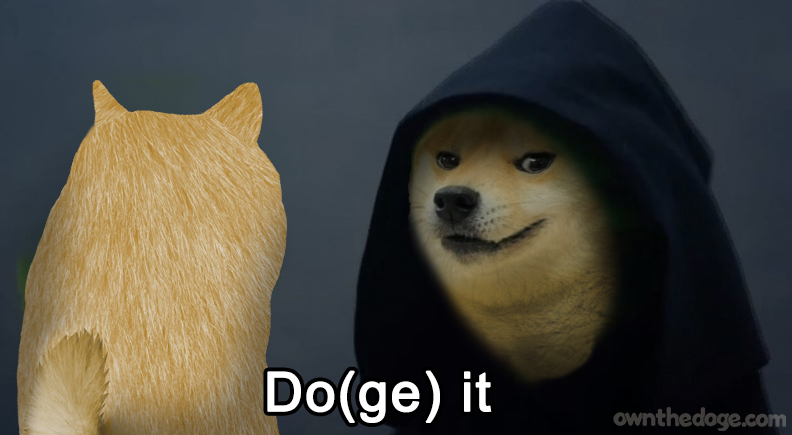 doge-doit-doge.png