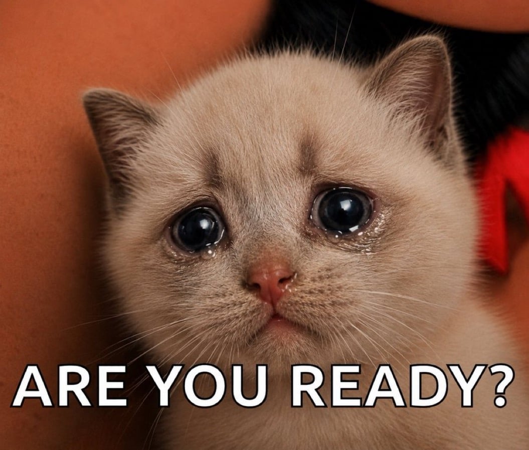 Are You Ready?