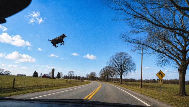 Higher Bull