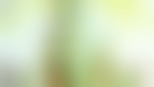 tumblr_o11l9cQMgh1s5ogpdo1_500-3588255063.gif
