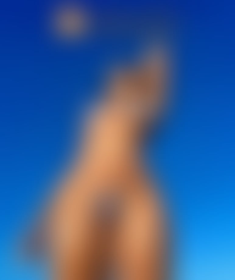 1000010234.jpg