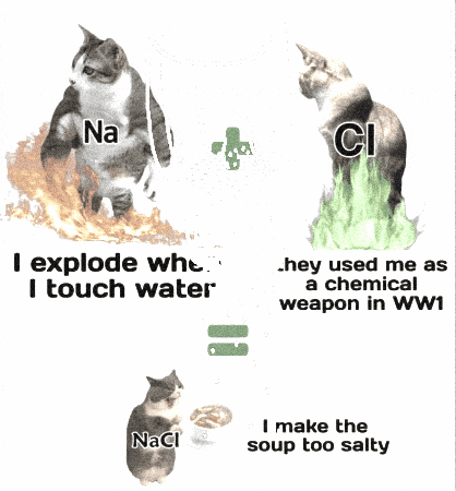 Na + CI salt meme 