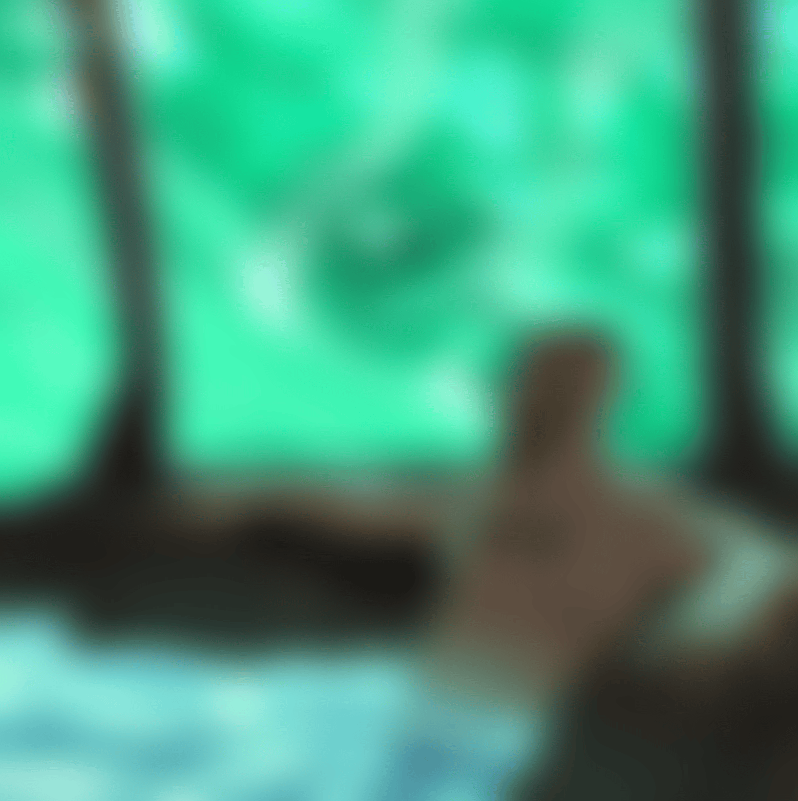 IMG_4551.png