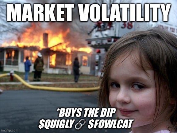 $FOWLCAT Market Volitility girl.JPG