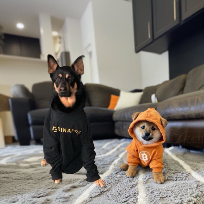 width=1080,quality=100 (1).jpeg