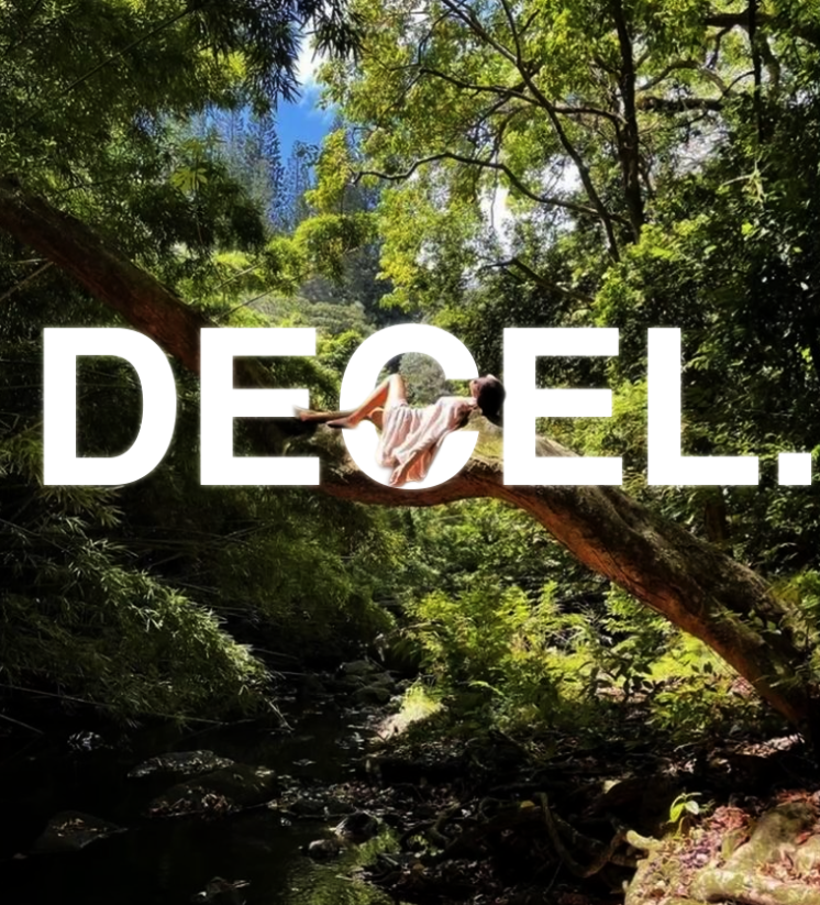 Screenshot 2026-02-24 165221.png