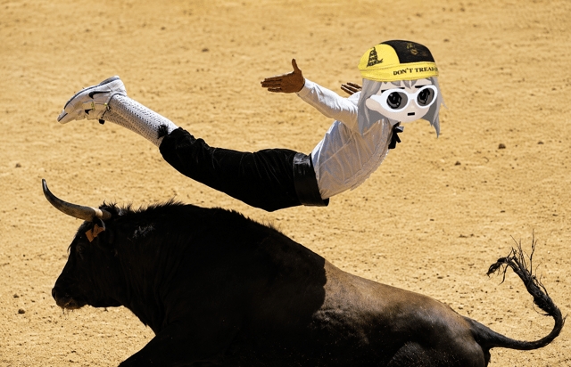 Alon Bull Jumping