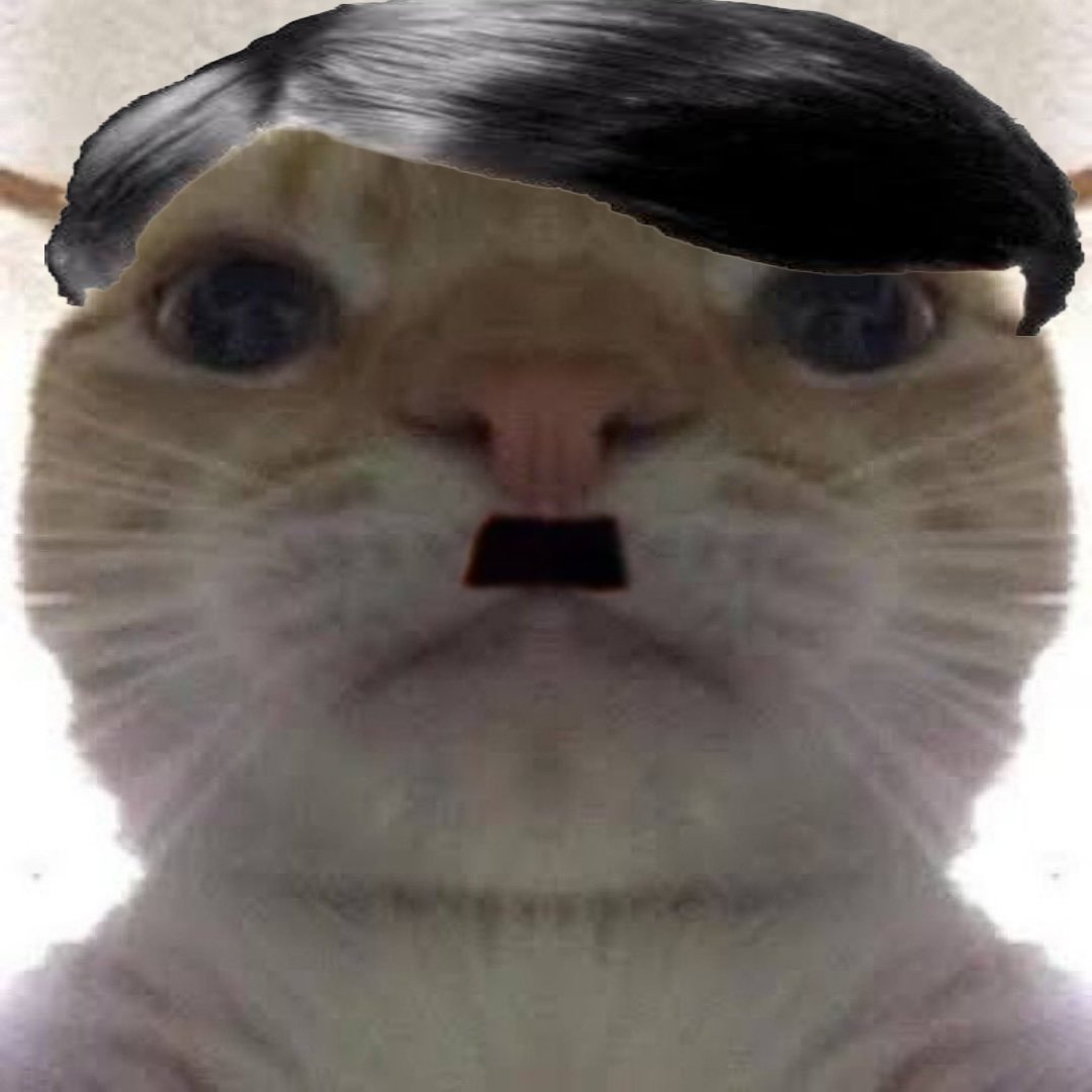 HOYwBK-aoAAC3Yh.jpeg