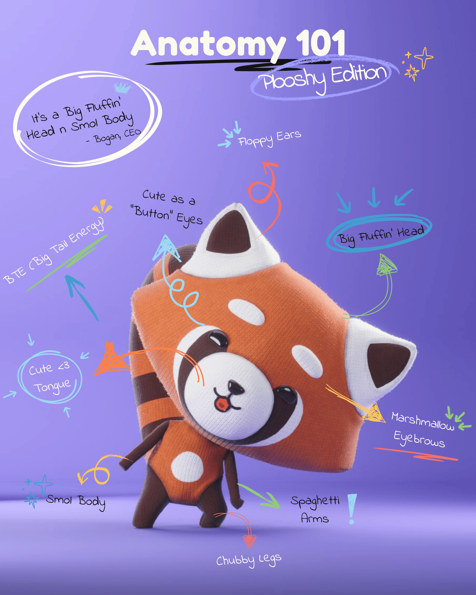 The Anatomy.png