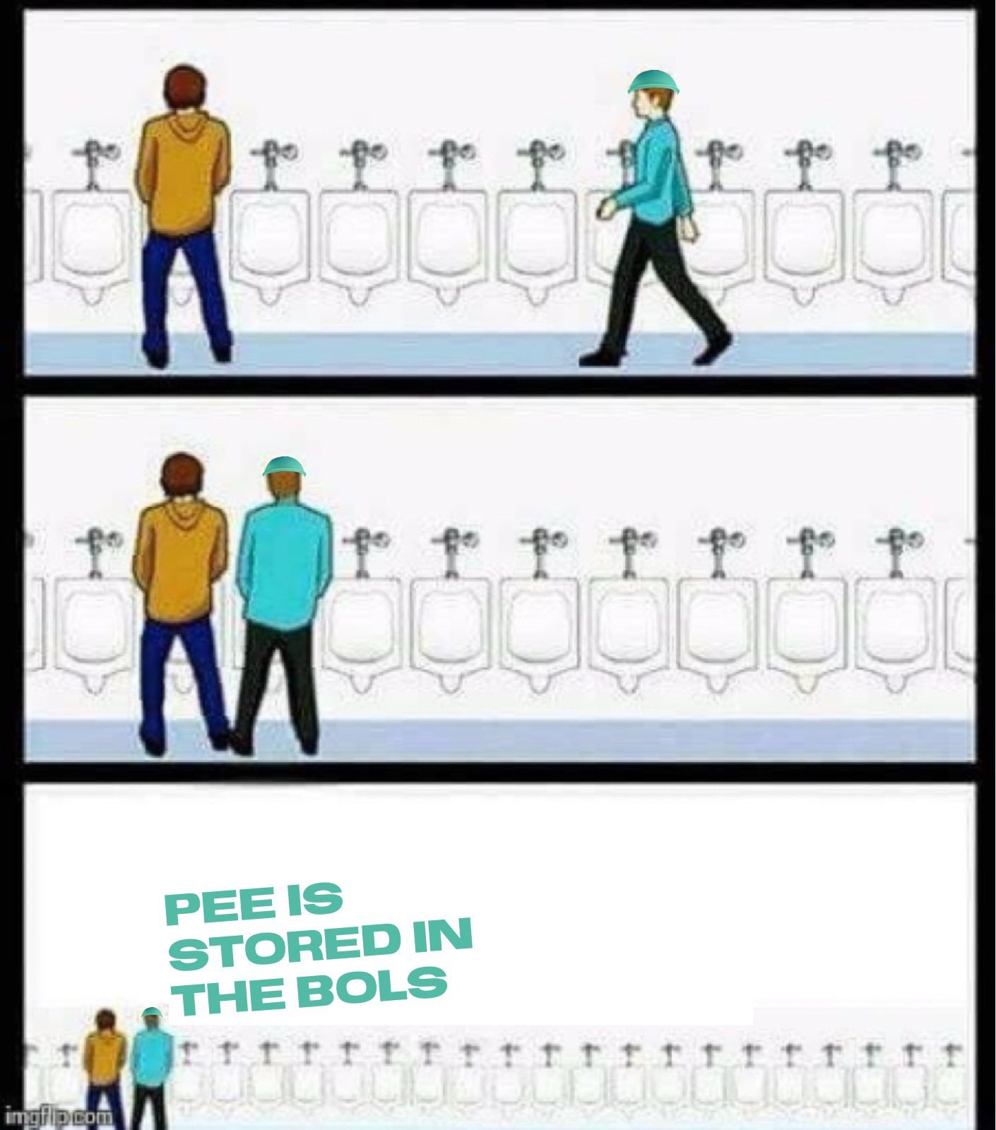 pee is stored in the bols