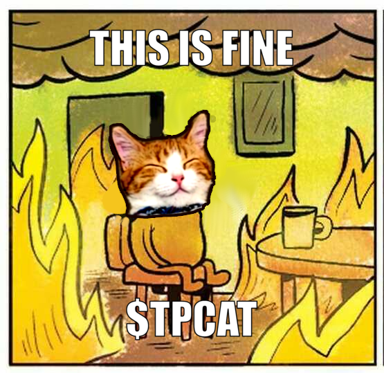 tpcat-meme-this-is-fine.png