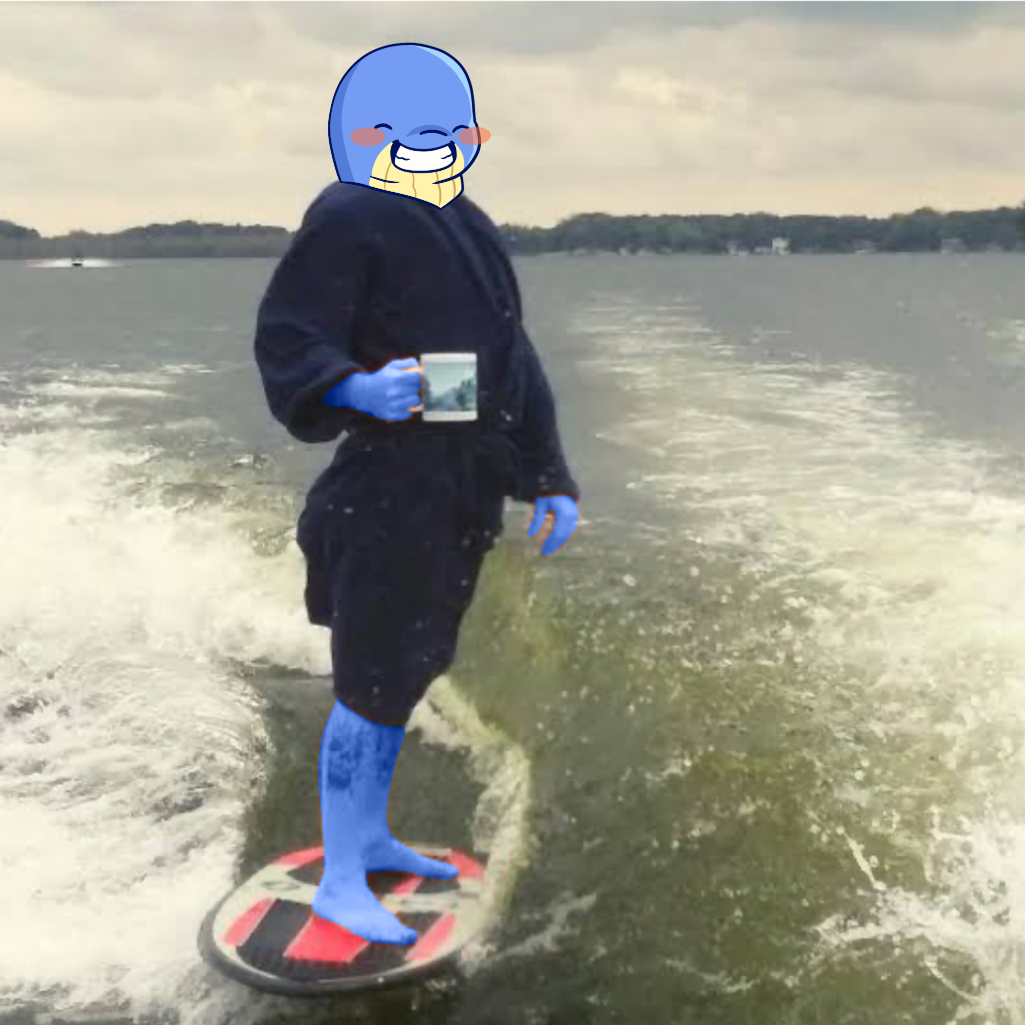 Surf.png