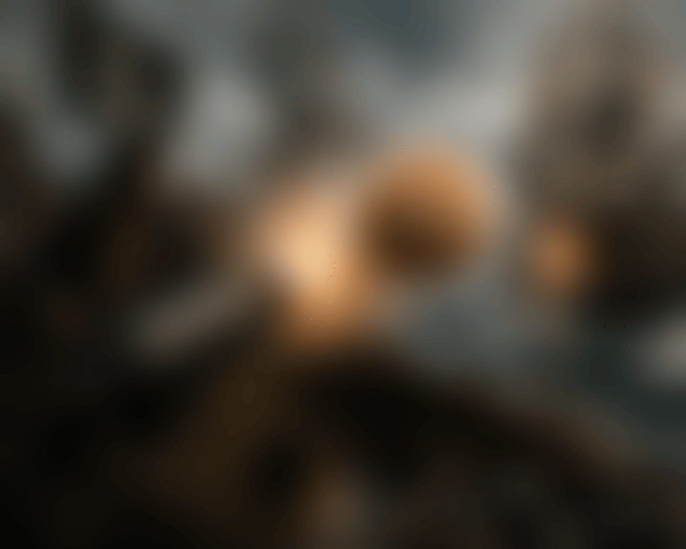 96608223-991C-4C4D-8C2B-DE99F46A429F.png