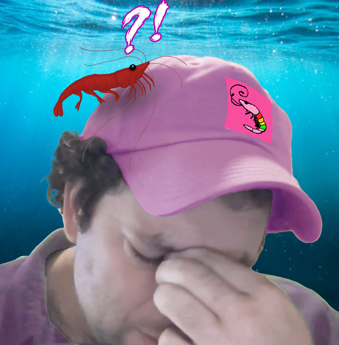 ajt_shrimp.png