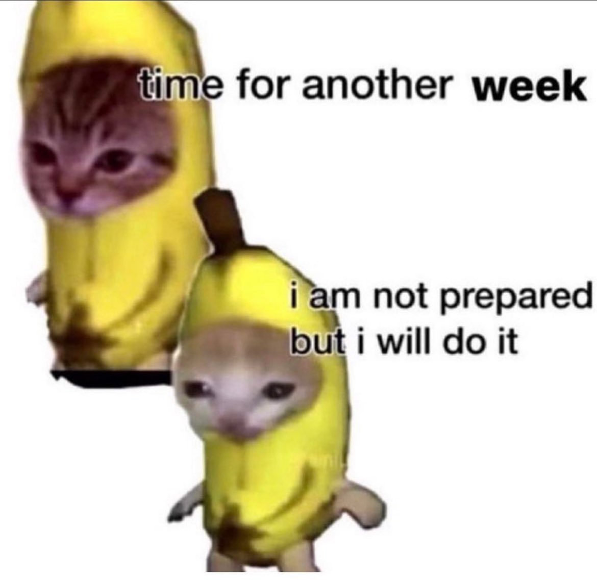 RT @PunchingCat: real https://t.co/VI7iKOMmHd