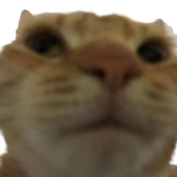 HON0Kj9W8AAt6Yf.jpeg