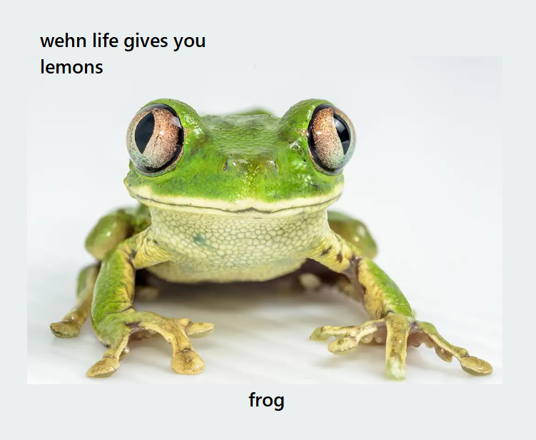 frog.png