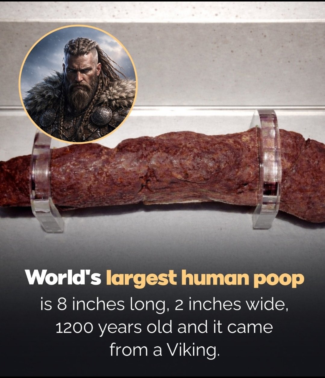33355.jpg