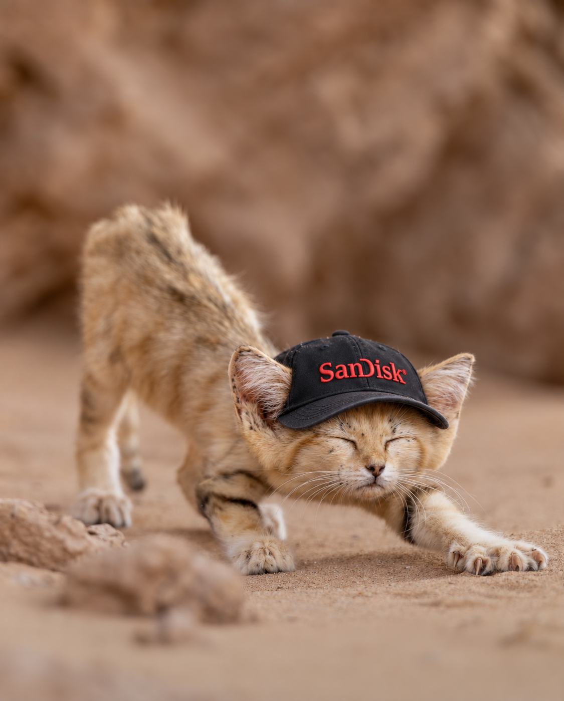 C198464D-A922-40D7-83C5-D65E5FF06405.png