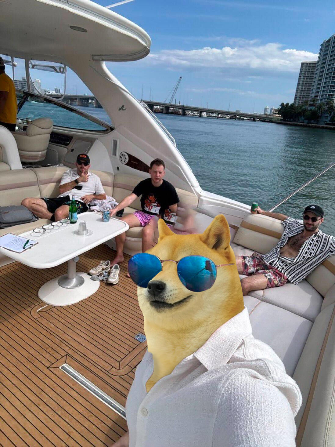 doge-nft-nick.png