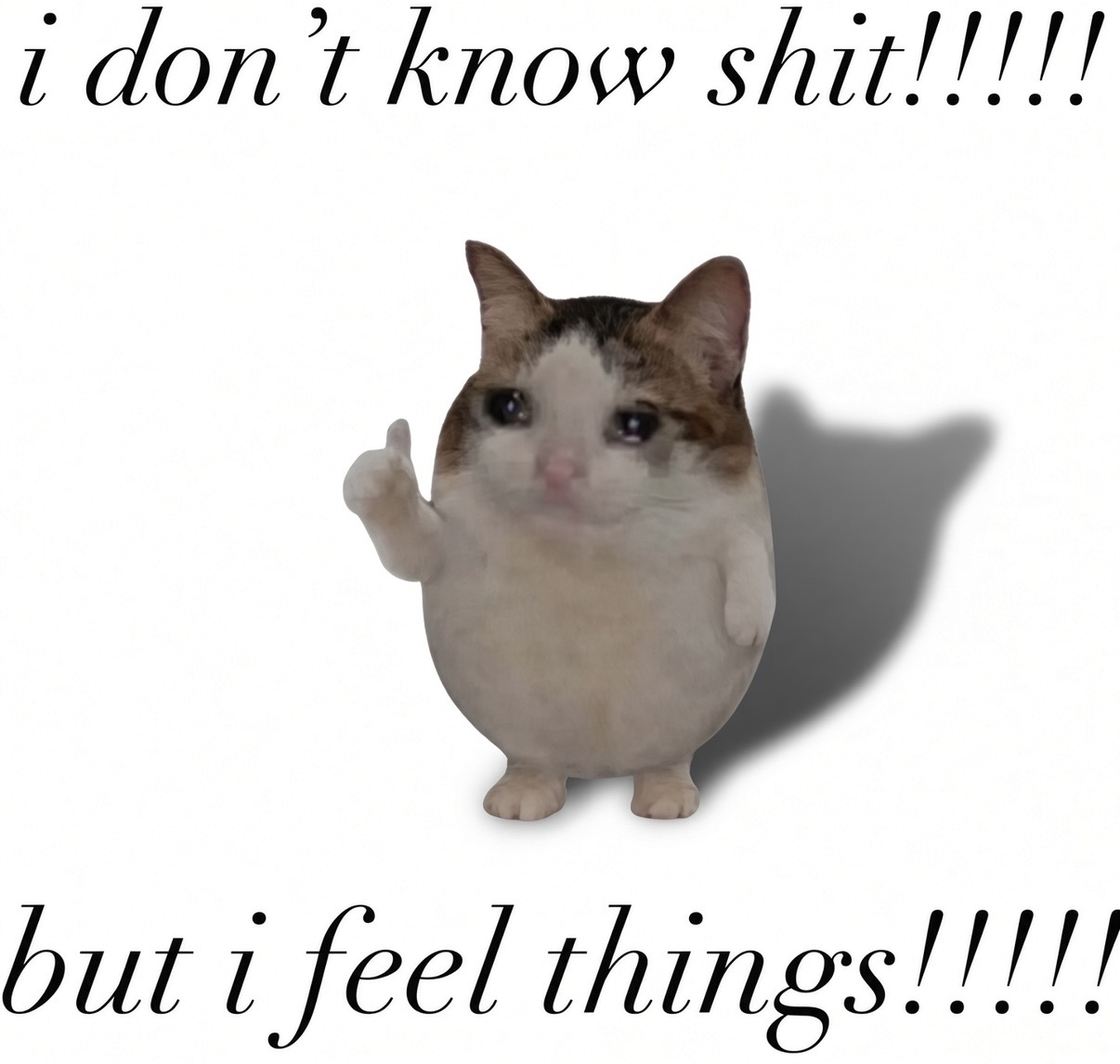 72EE85C0-8167-4904-A344-4CEB48075E72.jpeg