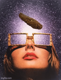 30369.gif