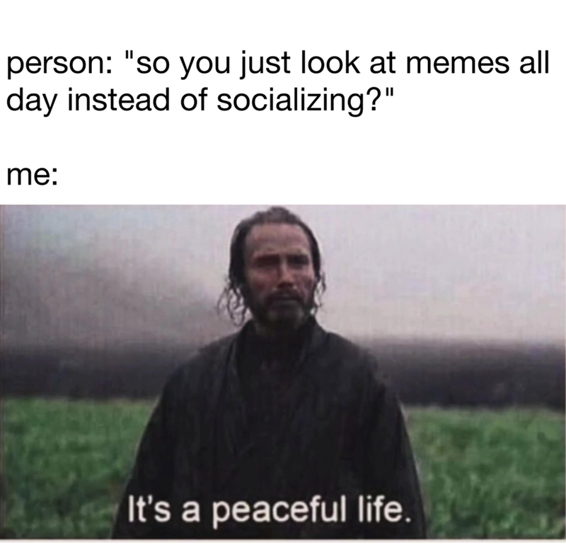 person-so-just-look-at-memes-all-day-instead-socializing-s-peaceful-life.png