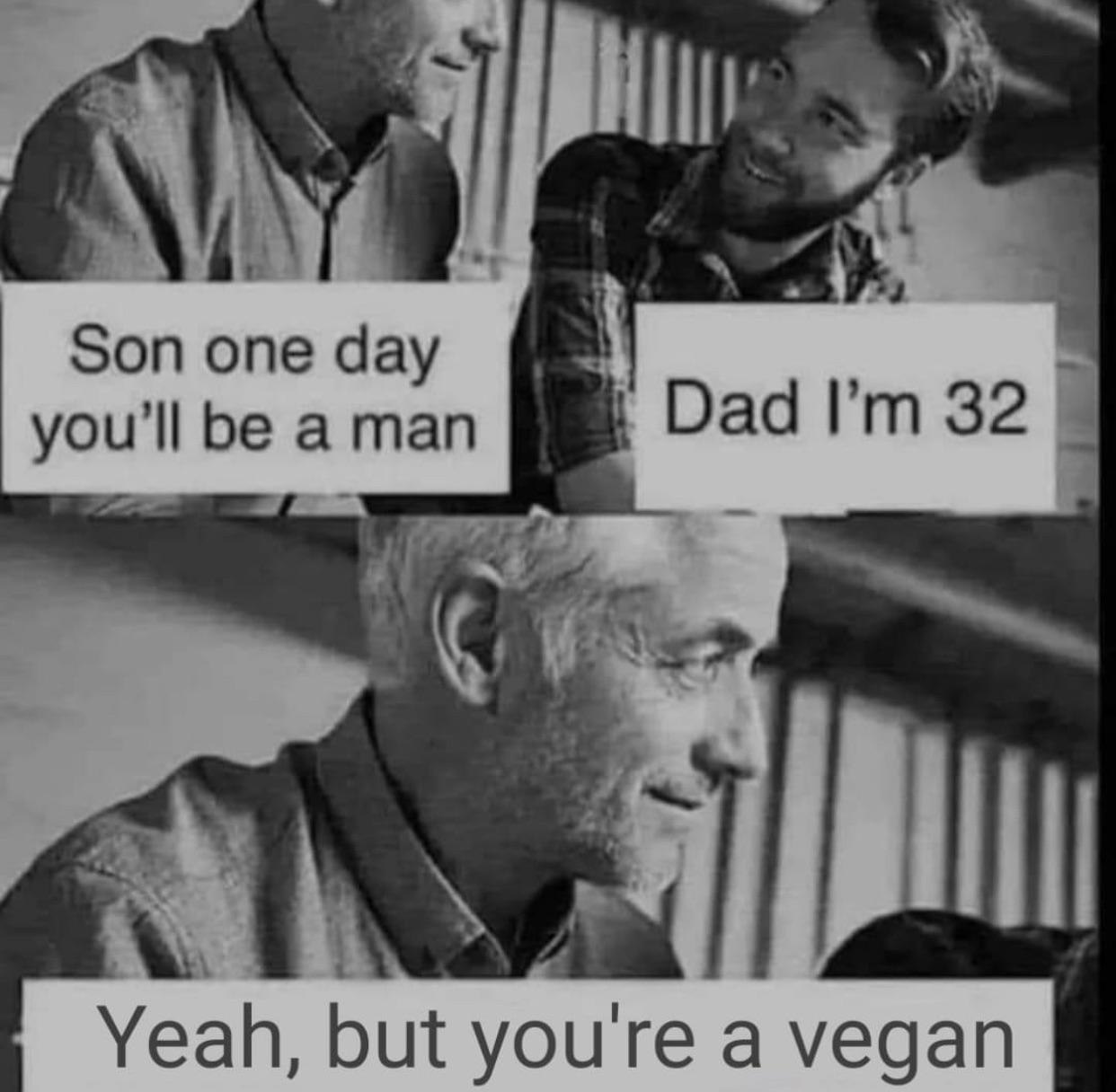 boomer's playground (1568).jpg